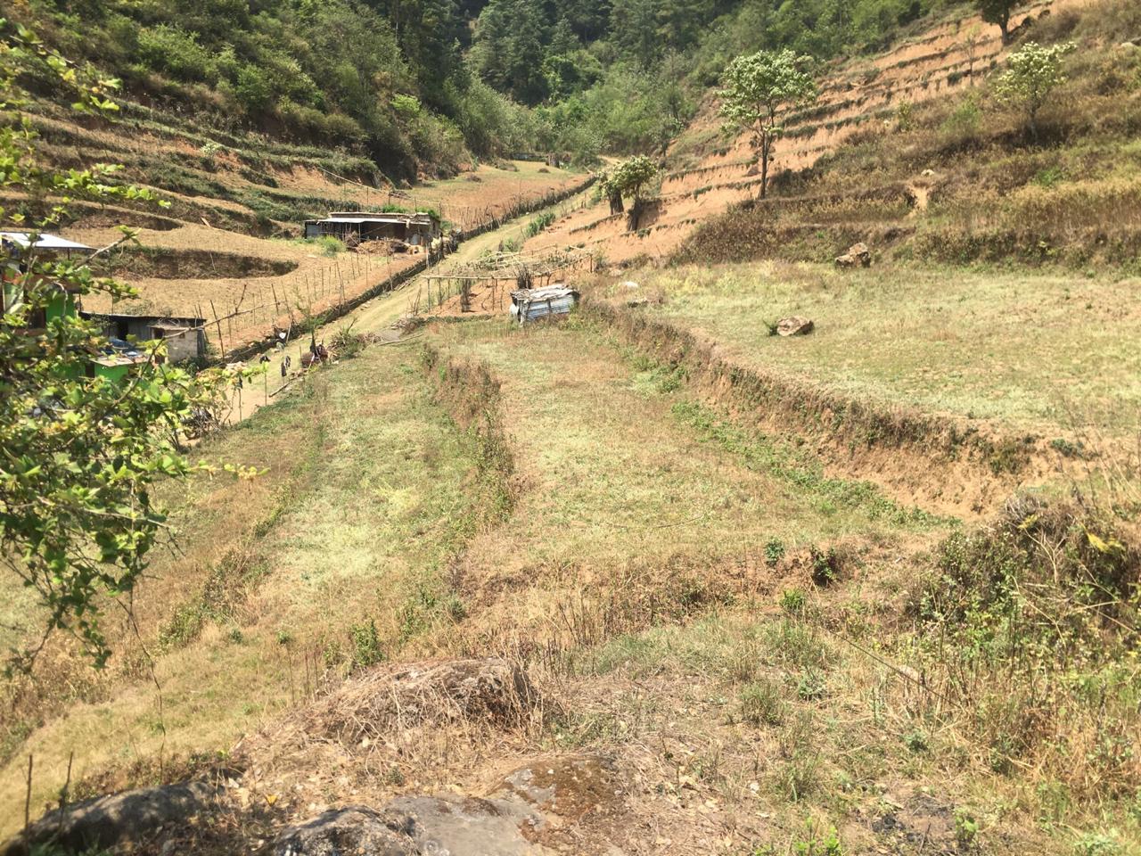 Picture of Dakshinkali Municipality, Bagmati